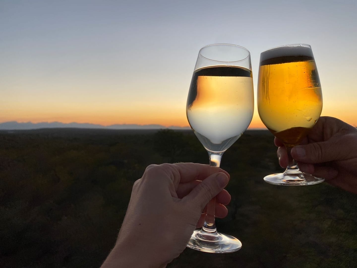 Sundowners at Oase’s treetop deck above the bush.